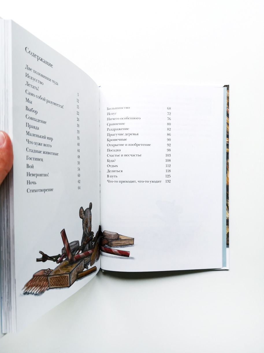 Риго и Роза. 31 история о чудных мелочах - Image 6