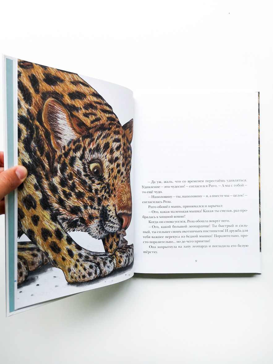 Риго и Роза. 31 история о чудных мелочах - Image 5