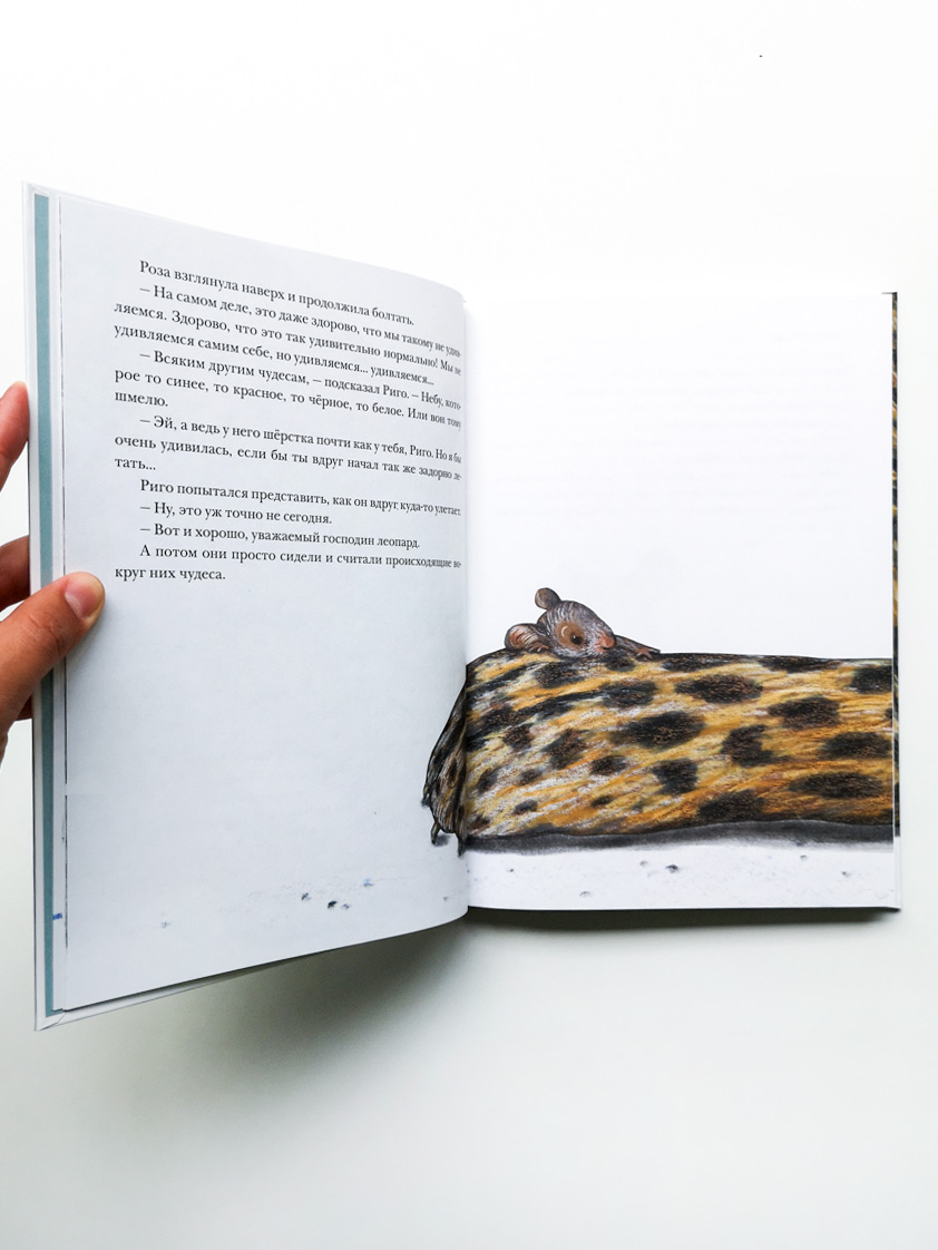 Риго и Роза. 31 история о чудных мелочах - Image 4