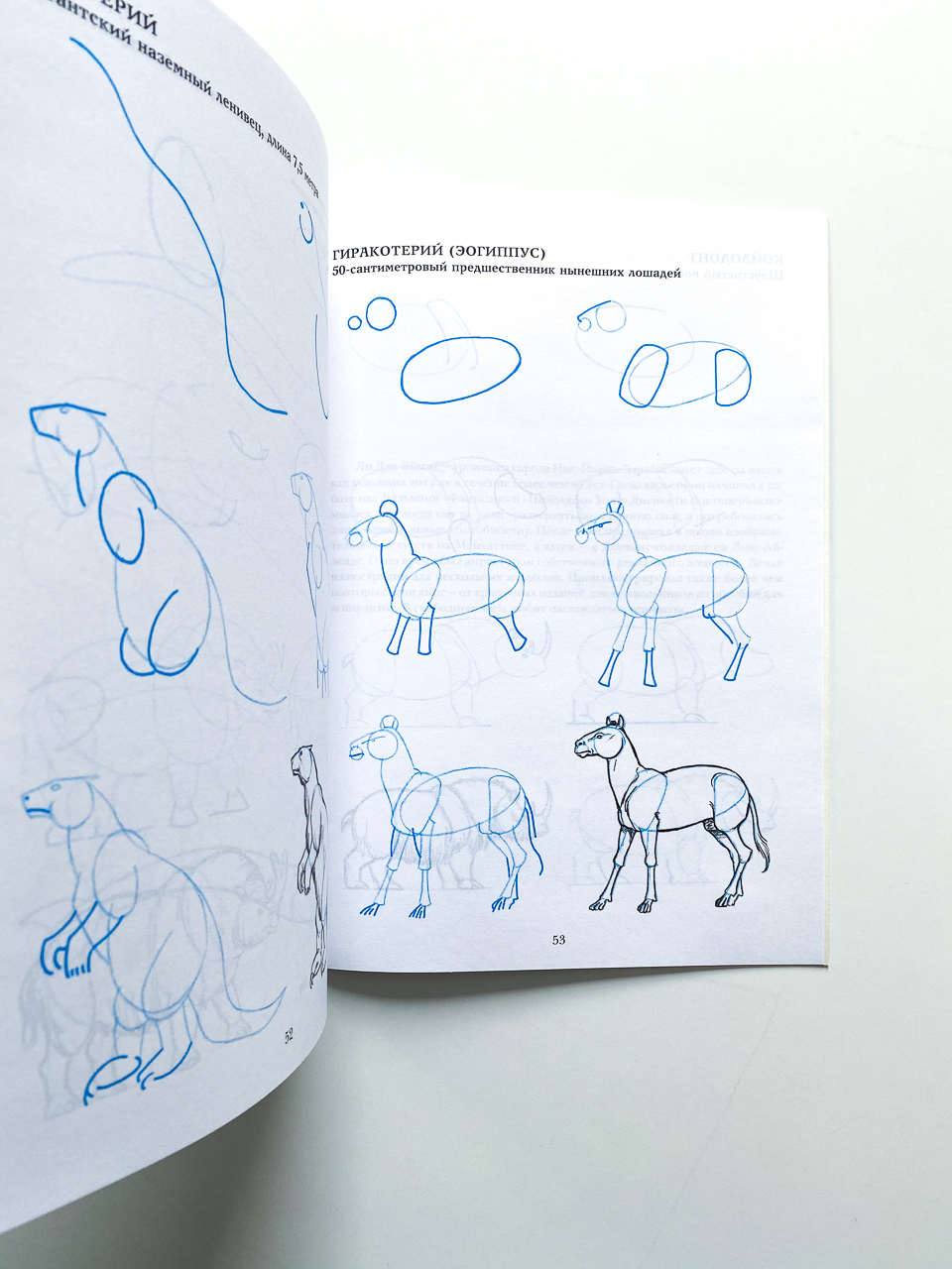 Рисуем 50 динозавров и других доисторических животных - Image 2