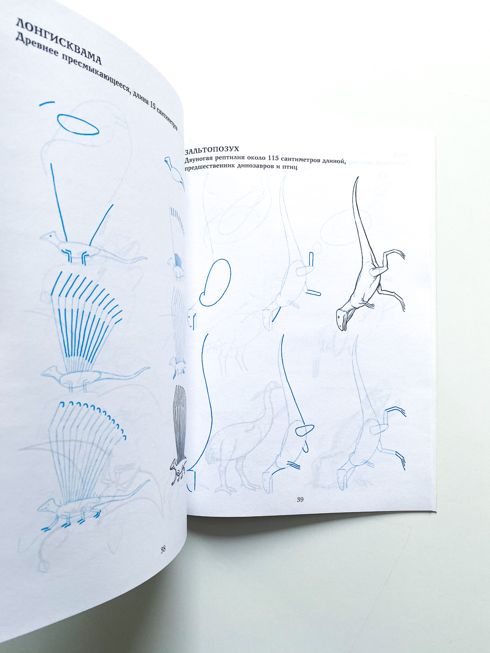 Рисуем 50 динозавров и других доисторических животных - Image 3