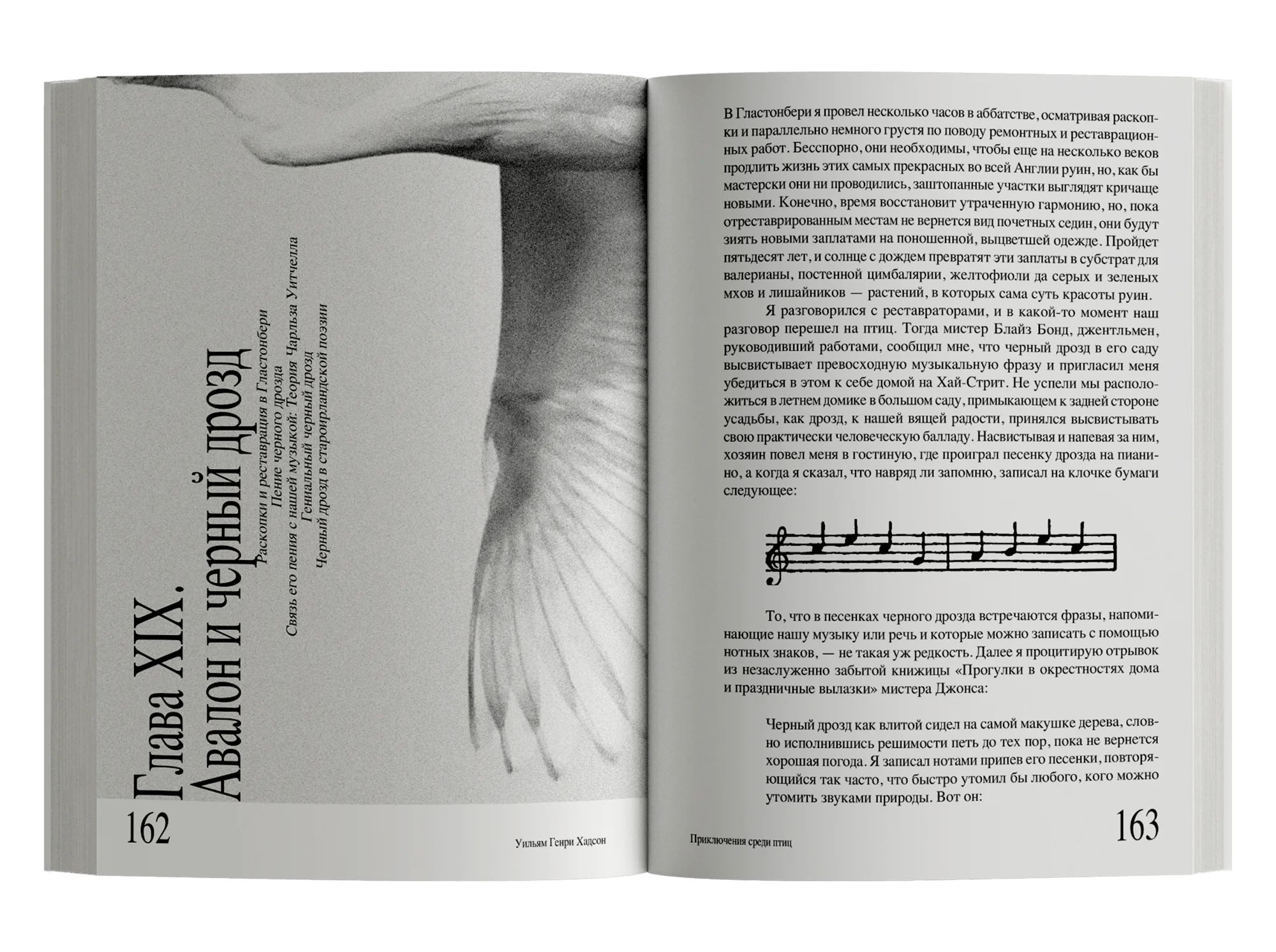 Приключения среди птиц - Image 3