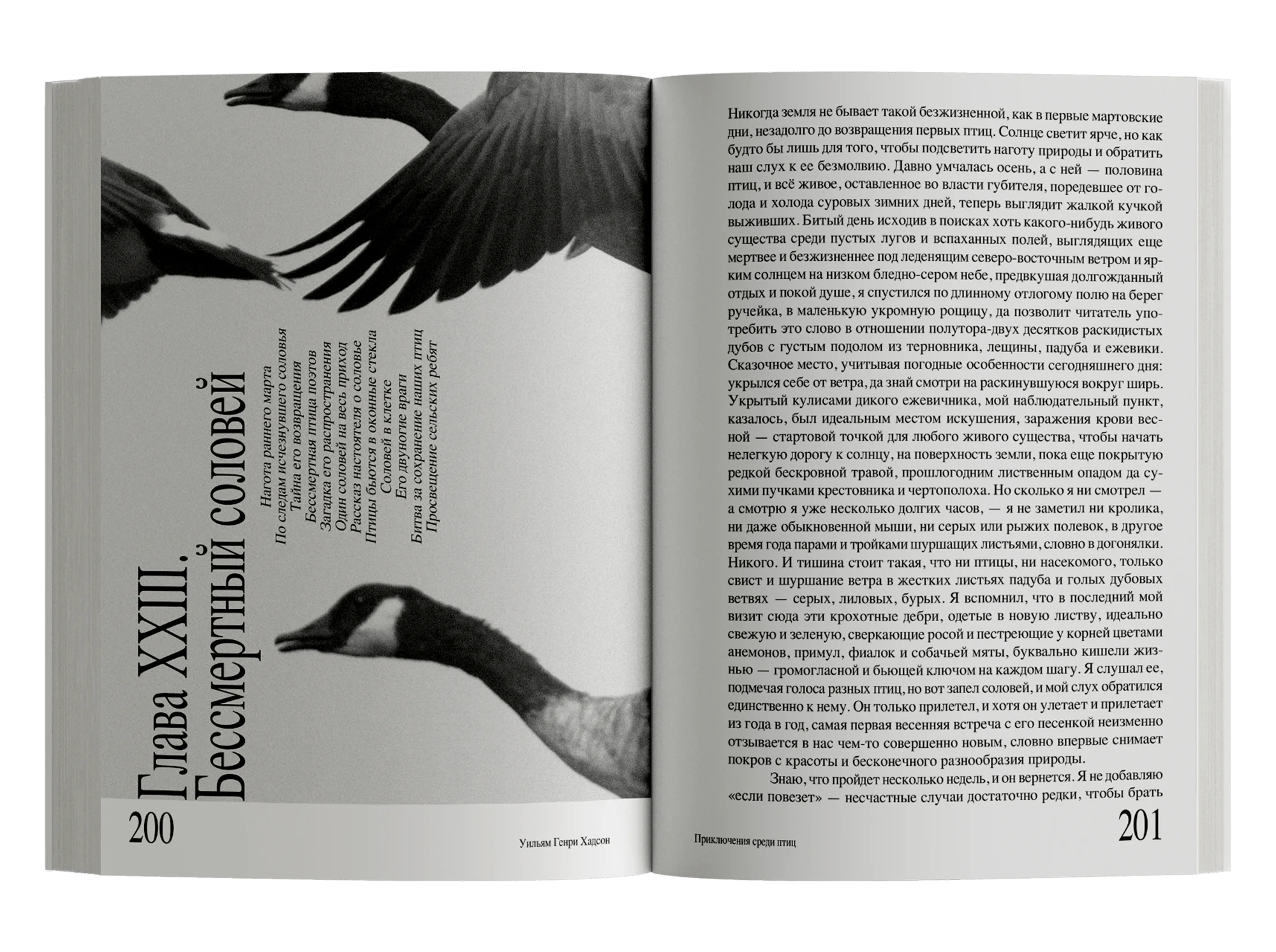 Приключения среди птиц - Image 4