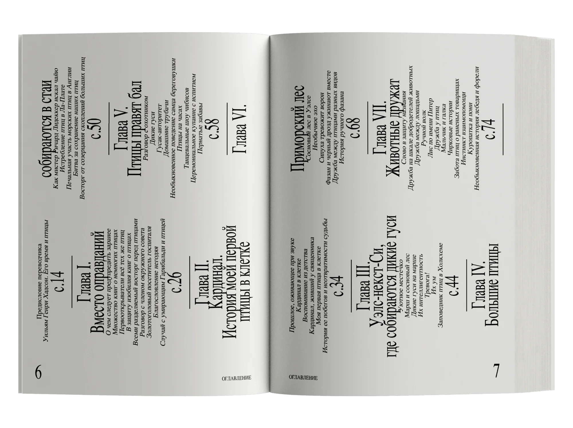 Приключения среди птиц - Image 2