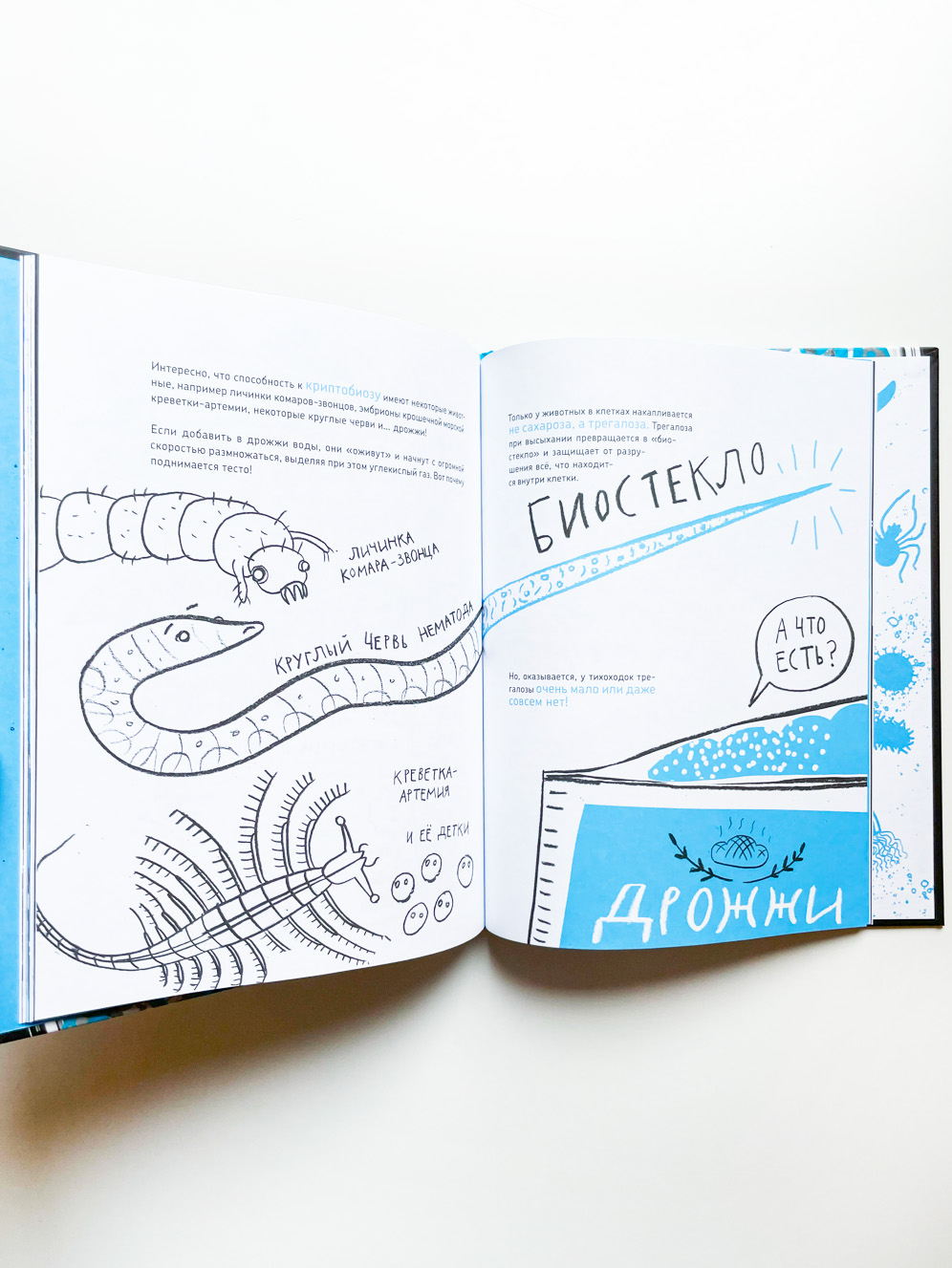 Микросупергерои. Самый живучий - Image 4