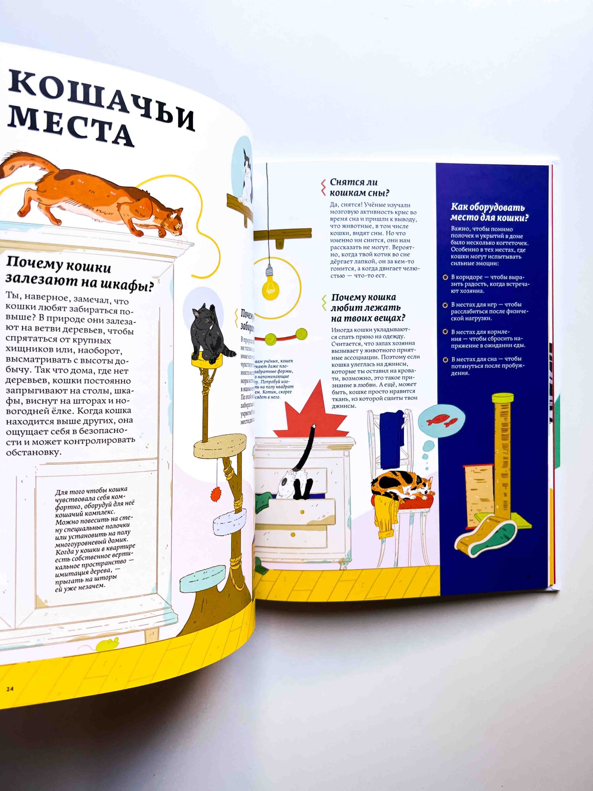 Секреты кошек. Как понять кошку и стать ей другом - Image 3