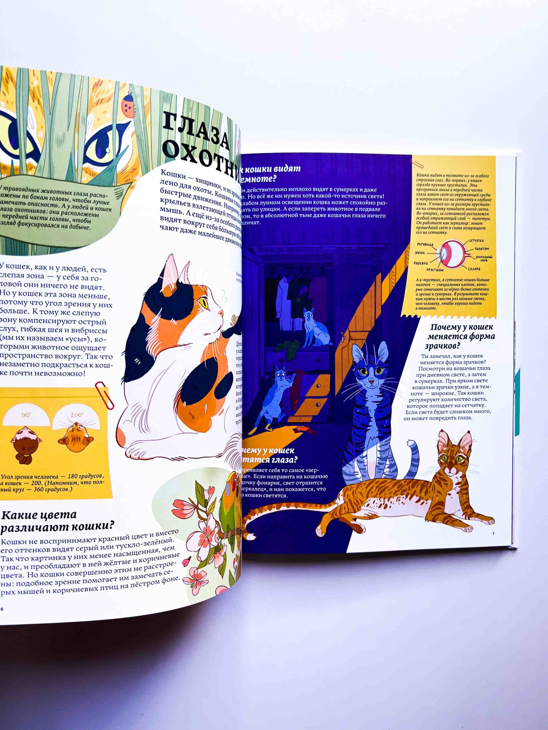 Секреты кошек. Как понять кошку и стать ей другом - Image 5