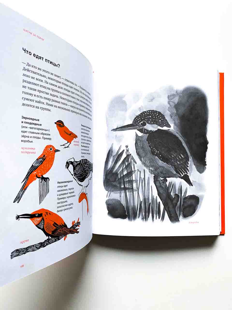 Шагни за порог. Путеводитель по природе - Image 2