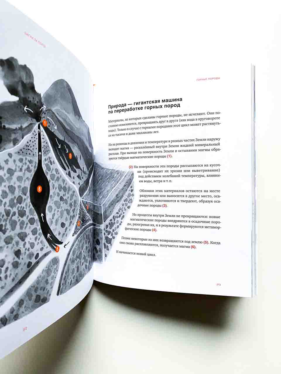 Шагни за порог. Путеводитель по природе - Image 8