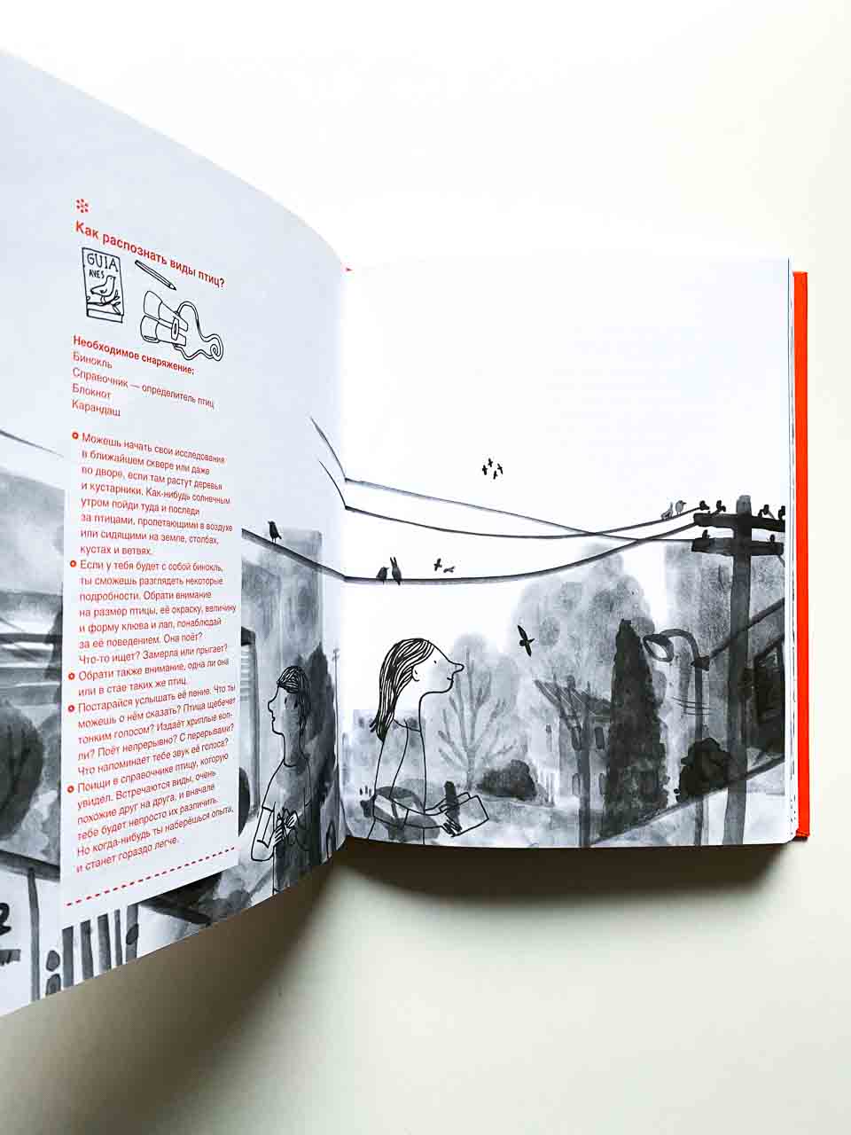 Шагни за порог. Путеводитель по природе - Image 7