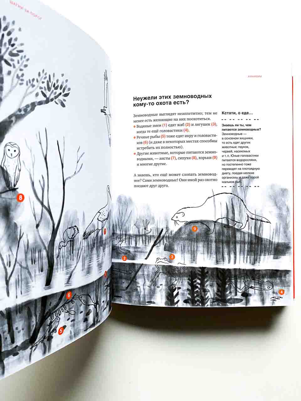 Шагни за порог. Путеводитель по природе - Image 5