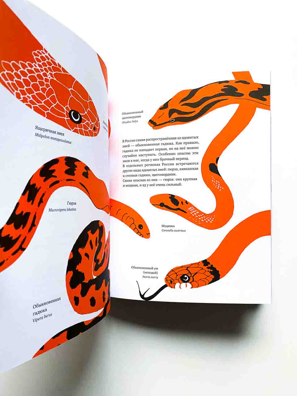 Шагни за порог. Путеводитель по природе - Image 4