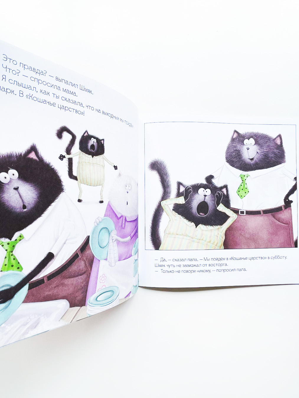 Котенок Шмяк и большой секрет - Image 5