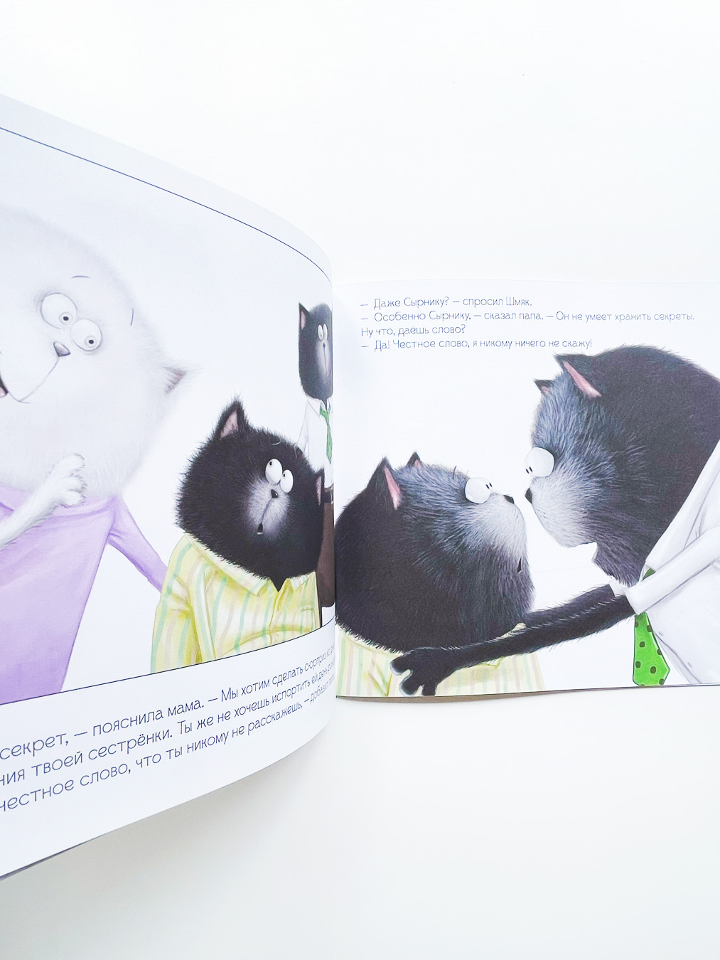 Котенок Шмяк и большой секрет - Image 4