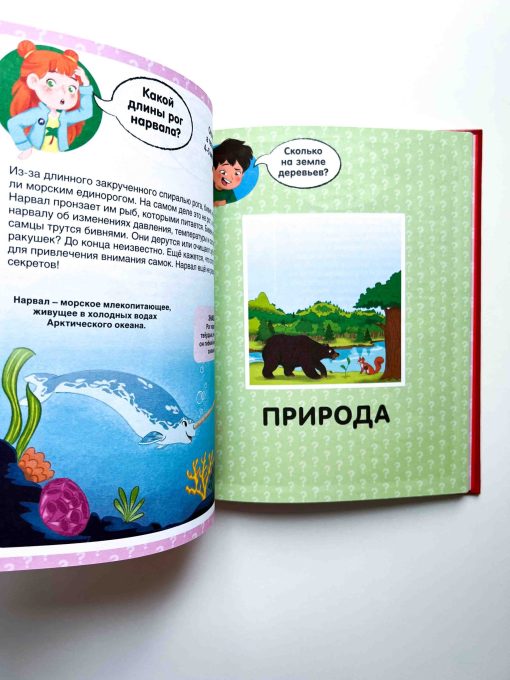 Сколько? 100 вопросов и ответов в картинках - Image 5