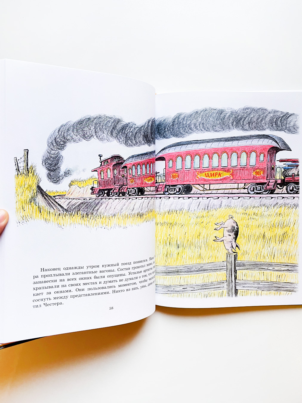 Скрябка-отшельник - Image 6