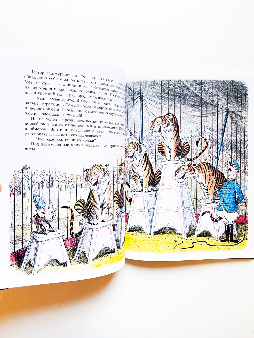 Скрябка-отшельник - Image 5