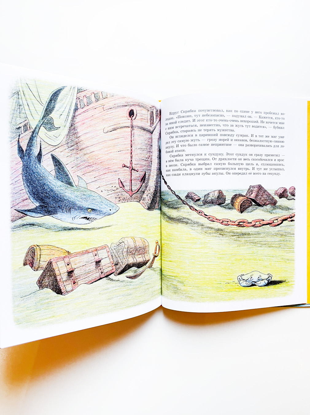 Скрябка-отшельник - Image 4