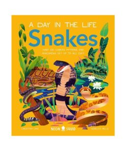 Snakes (A Day in the Life). What Do Cobras, Pythons, and Anacondas Get Up to All Day? (Hardback)