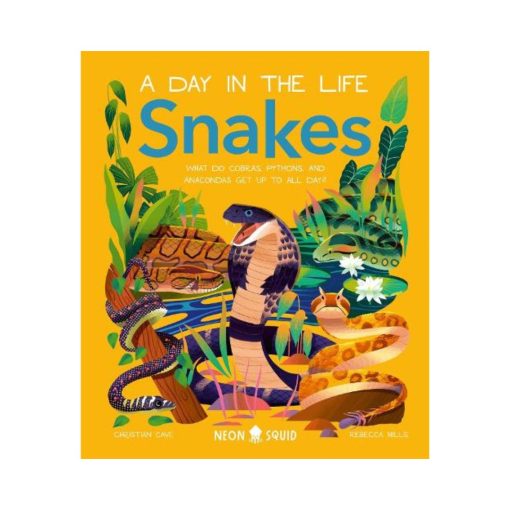 Snakes (A Day in the Life). What Do Cobras, Pythons, and Anacondas Get Up to All Day? (Hardback)