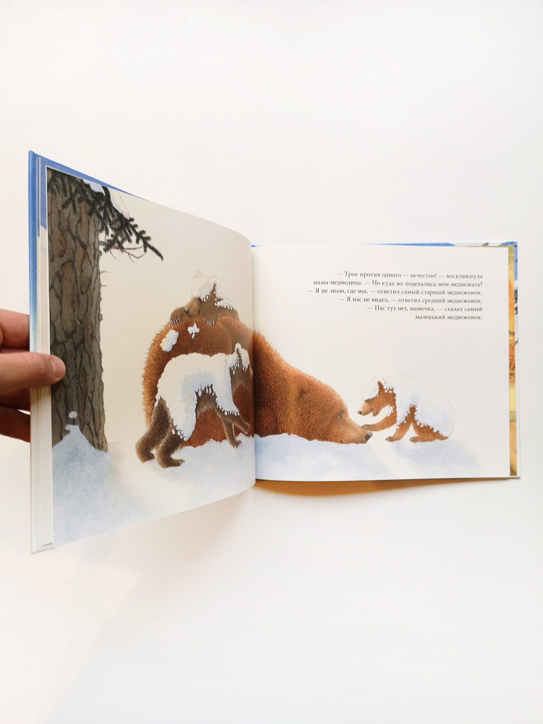 Снежные медведи - Image 5