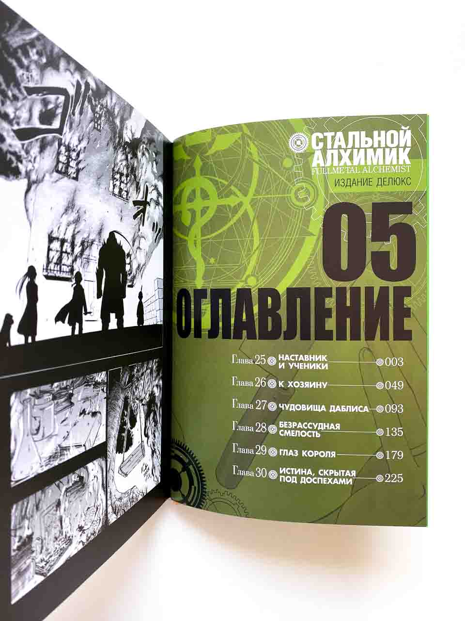 Стальной Алхимик. Книга 5 - Image 2
