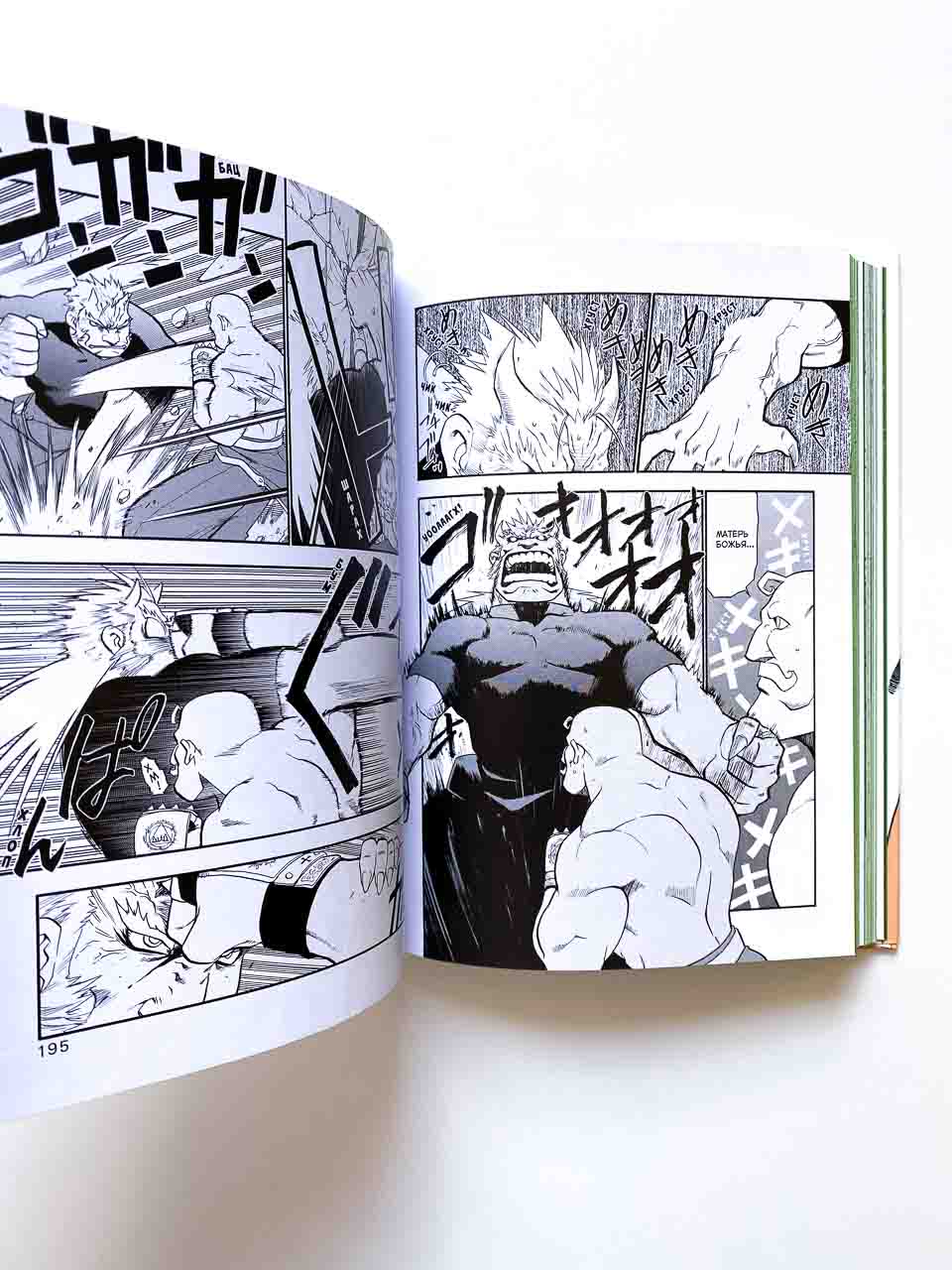 Стальной Алхимик. Книга 5 - Image 4