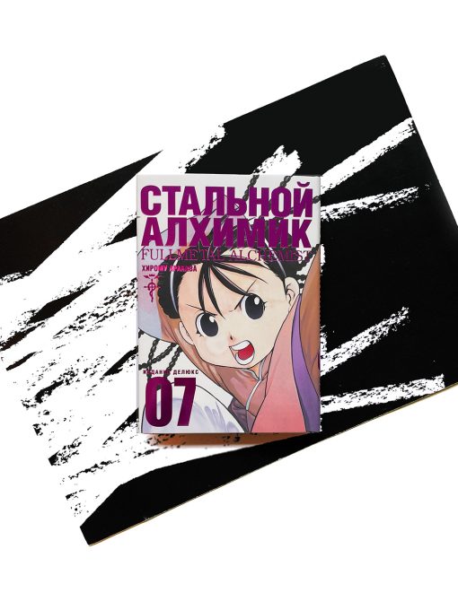 Стальной Алхимик. Книга 7