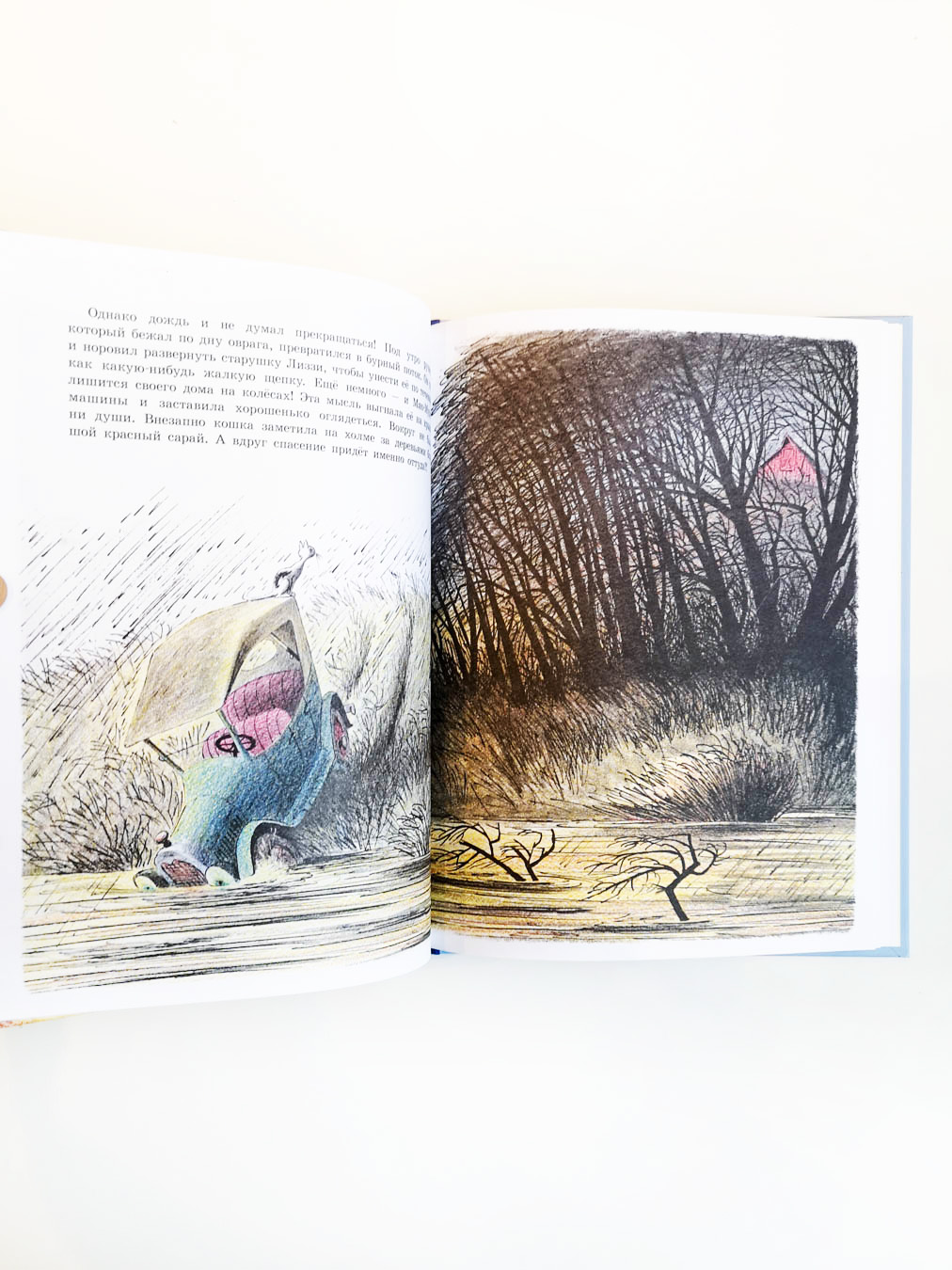 Старушка Лиззи и Мяо-Мурси - Image 6