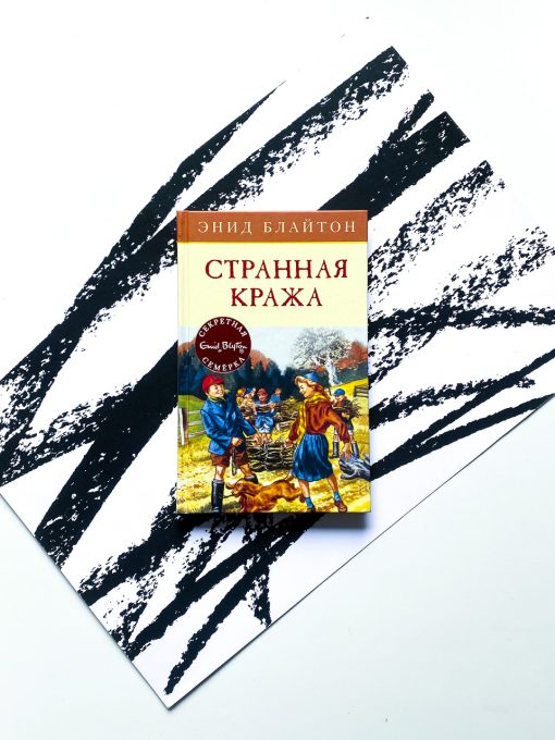 Странная кража (11)