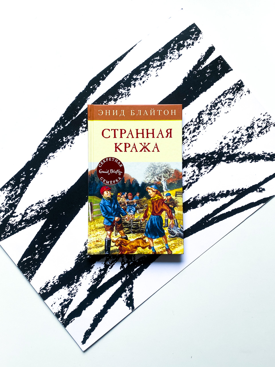 Странная кража (11)
