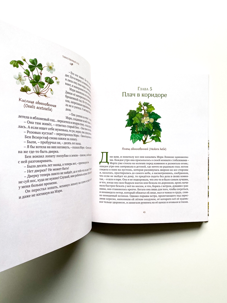 Таинственный сад - Image 3