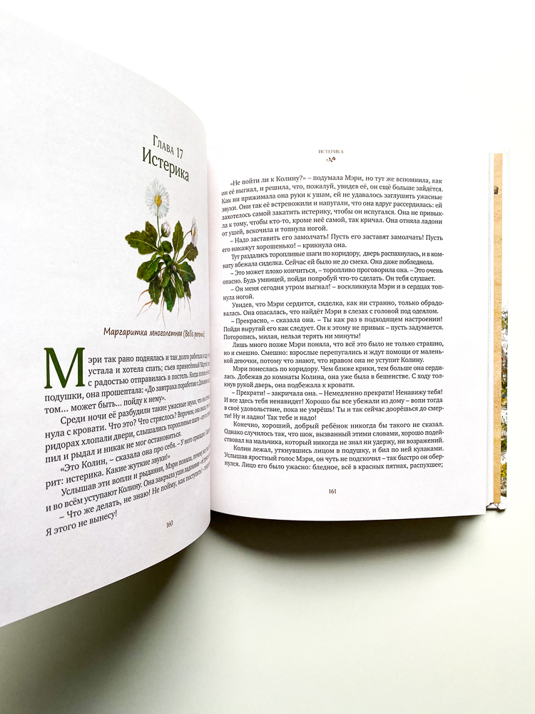 Таинственный сад - Image 4