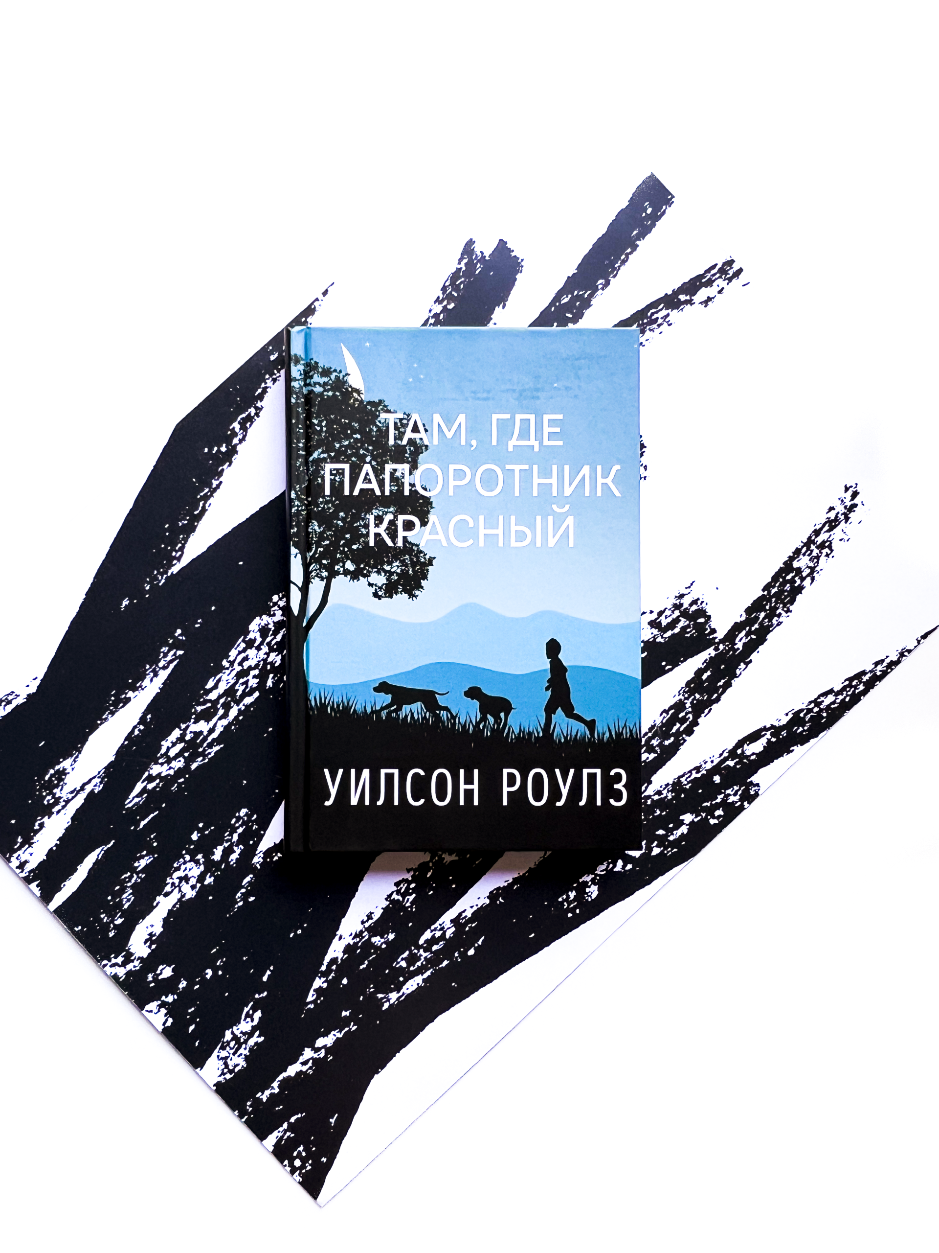 Там, где папоротник красный