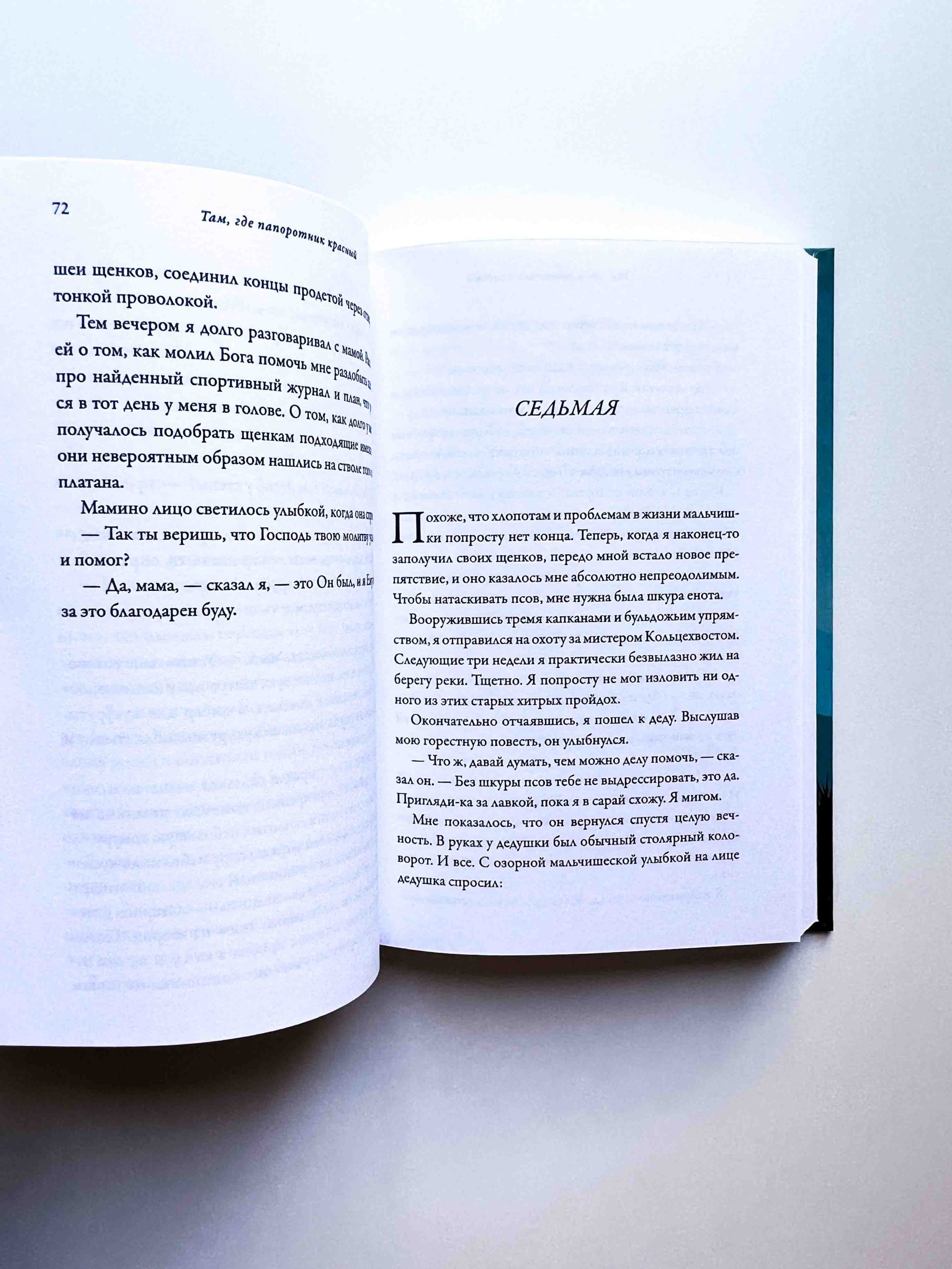 Там, где папоротник красный - Image 4