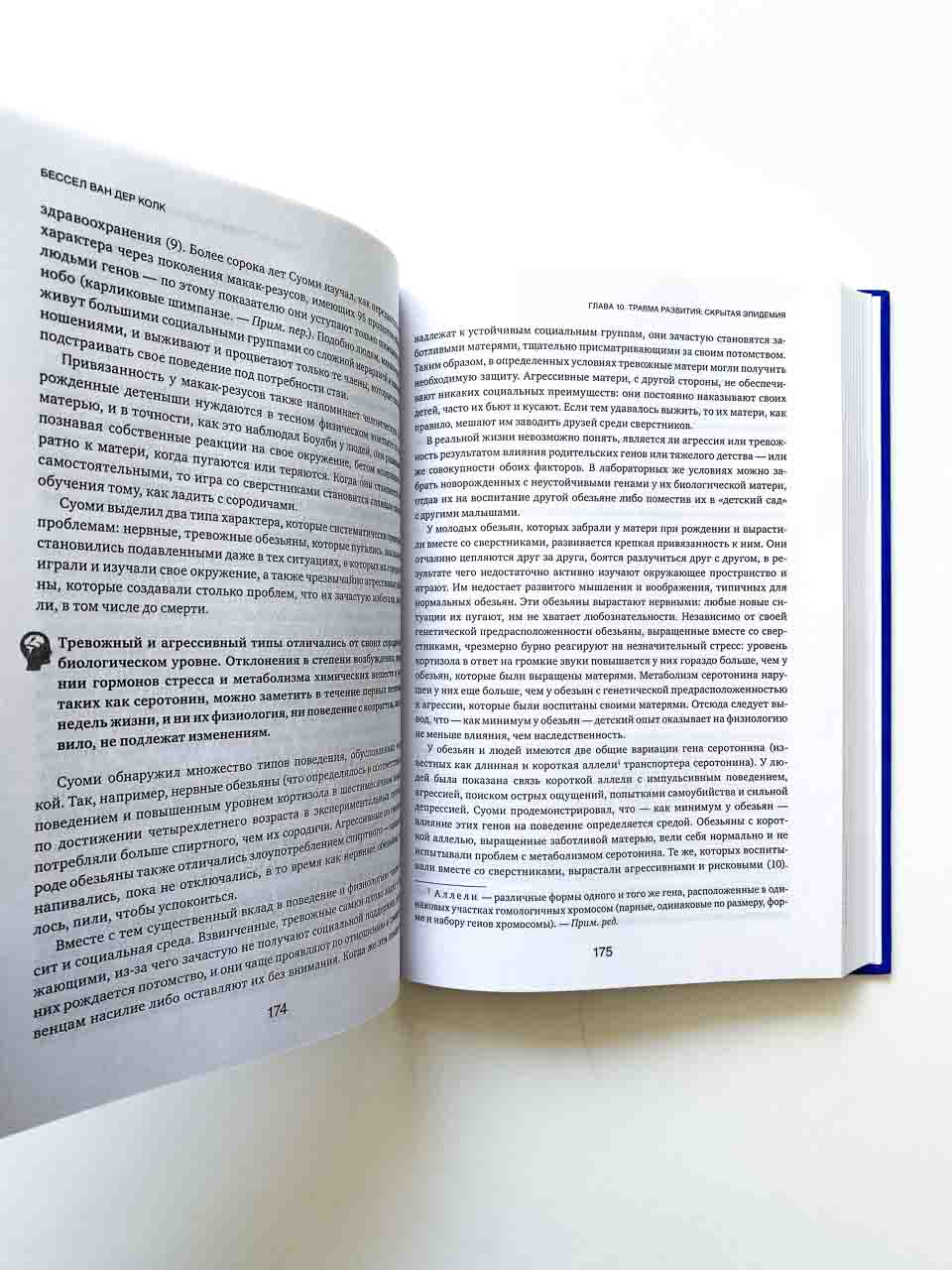 Тело помнит все: какую роль психологическая травма играет в жизни человека и какие техники помогают - Image 4