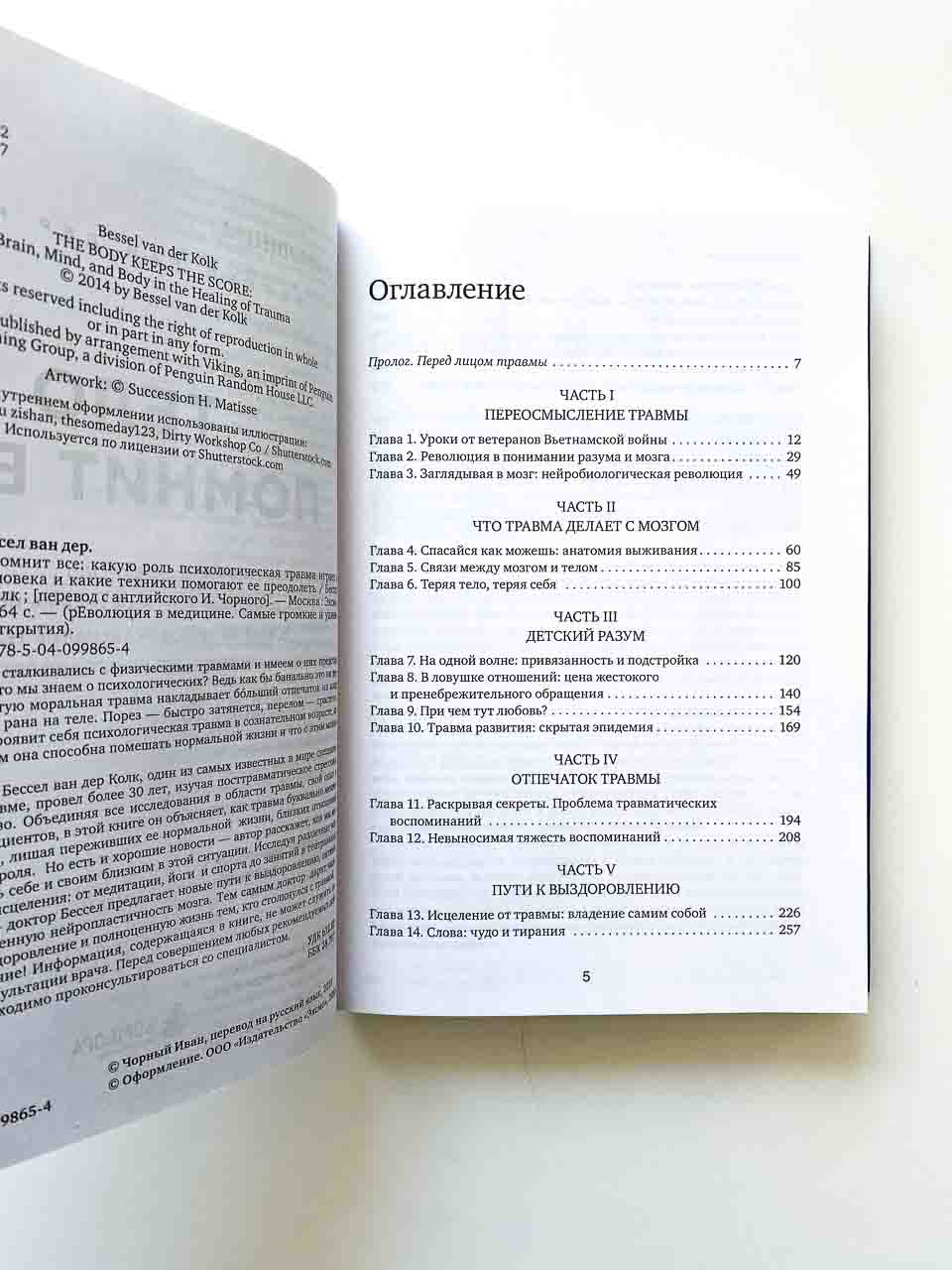 Тело помнит все: какую роль психологическая травма играет в жизни человека и какие техники помогают - Image 8