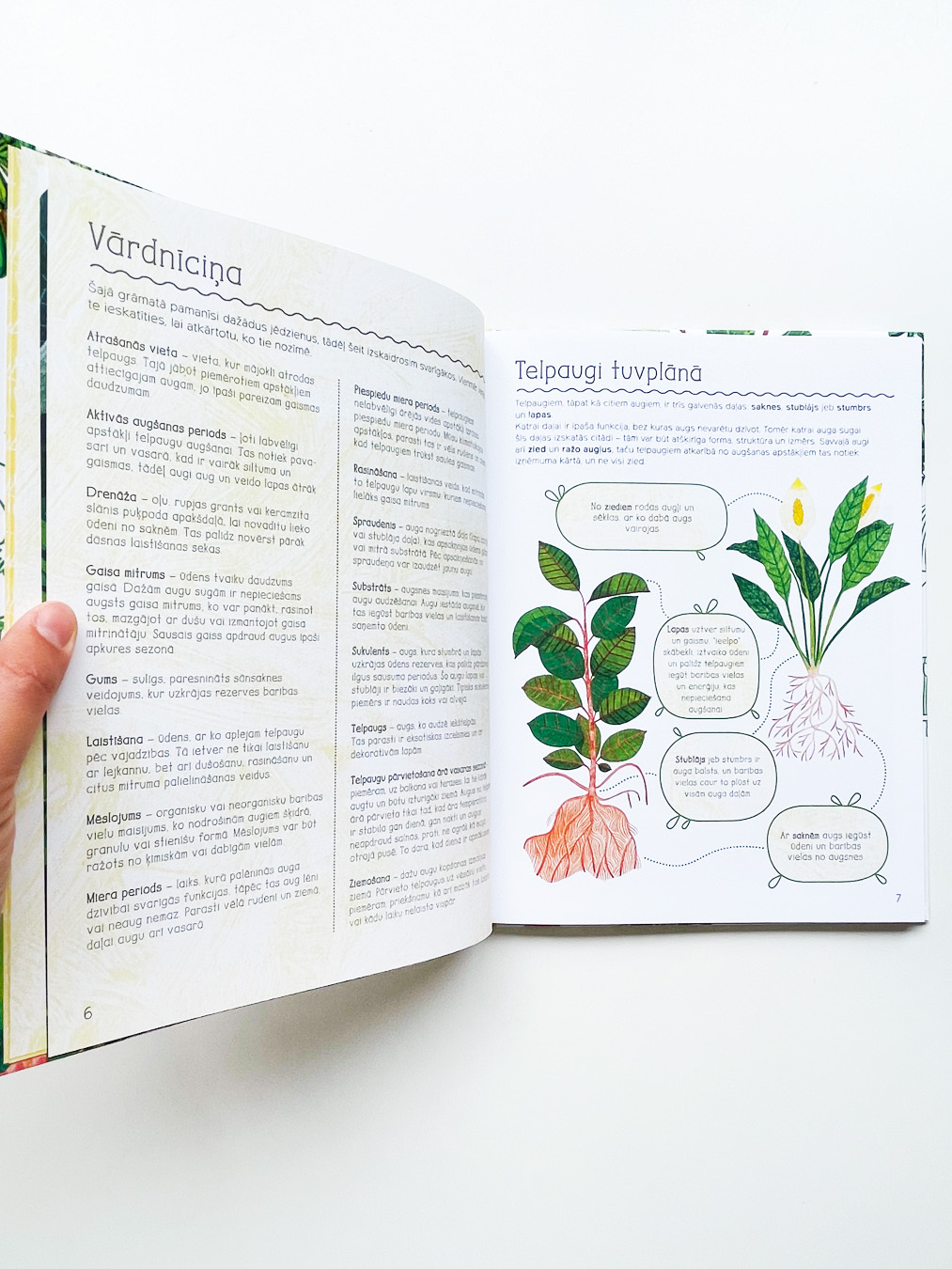 Arī man ir savs telpaugs - Image 6