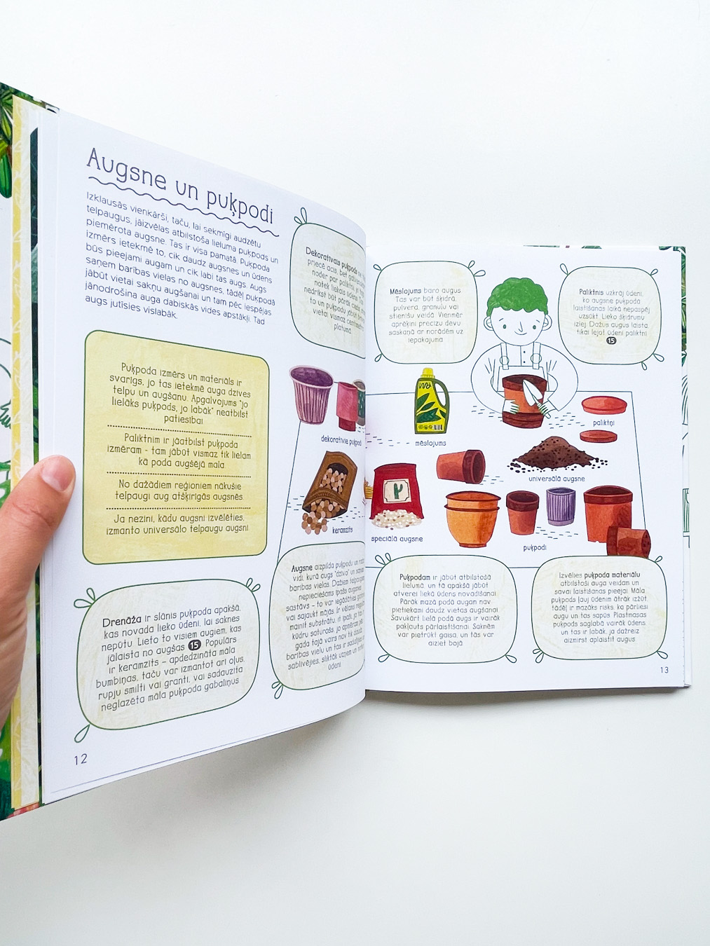 Arī man ir savs telpaugs - Image 3