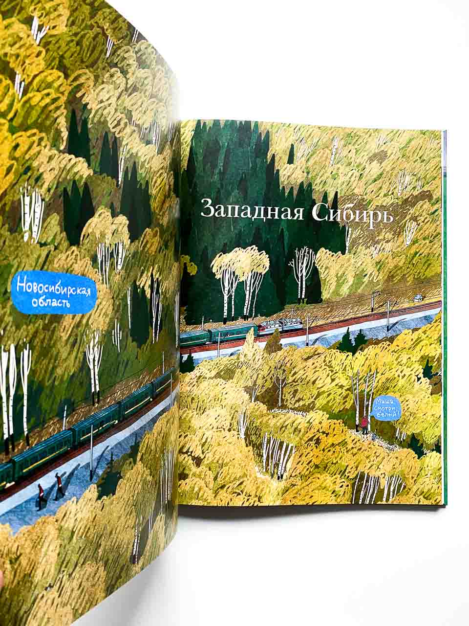 Транссиб. Поезд отправляется! - Image 8