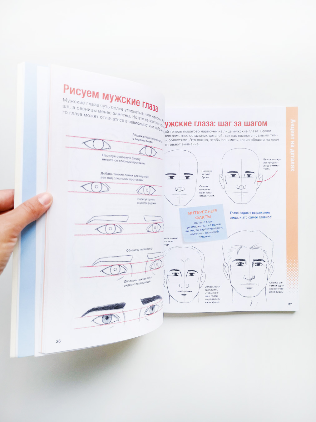 Учимся рисовать лица и эмоции. Руководство по рисованию головы человека - Image 4