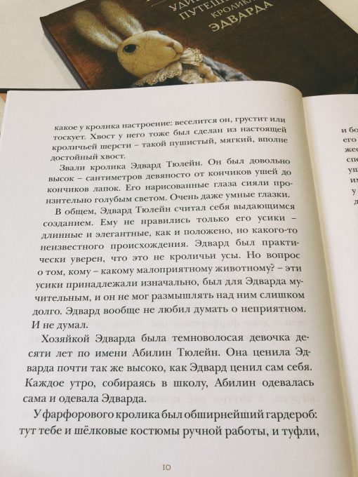 Удивительное приключение кролика Эдварда - Image 2
