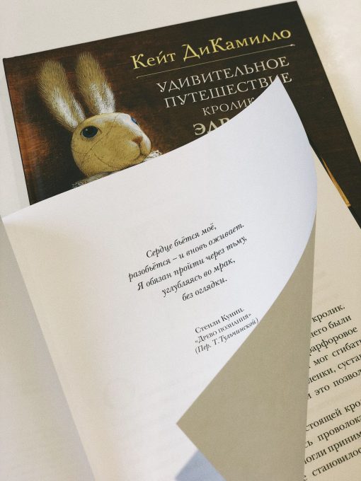 Удивительное приключение кролика Эдварда - Image 3