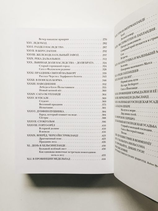 Удивительное путешествие Нильса Хольгерссона с дикими гусями по Швеции - Image 8