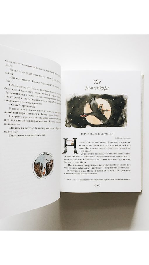 Удивительное путешествие Нильса Хольгерссона с дикими гусями по Швеции - Image 3