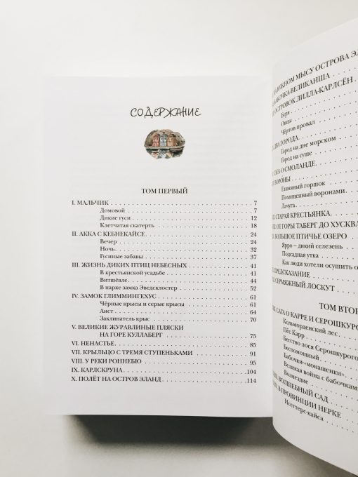 Удивительное путешествие Нильса Хольгерссона с дикими гусями по Швеции - Image 6