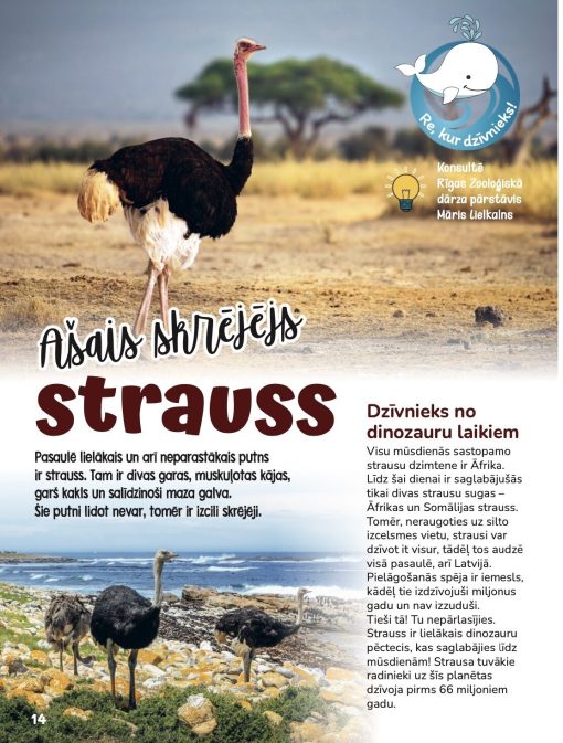 Žurnāls Baltais valis Nr.27 - Image 3