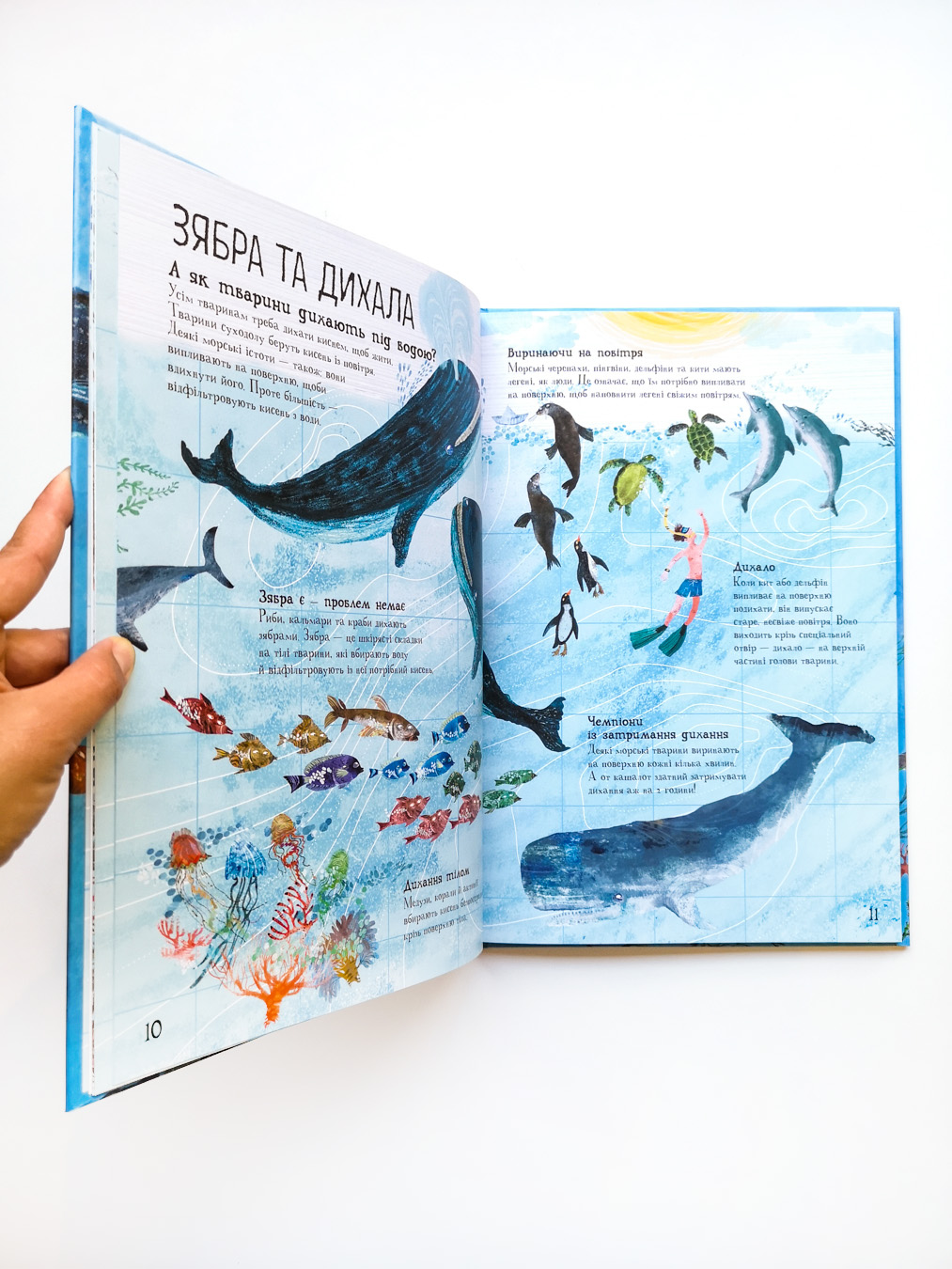 Велика книга морів - Image 7