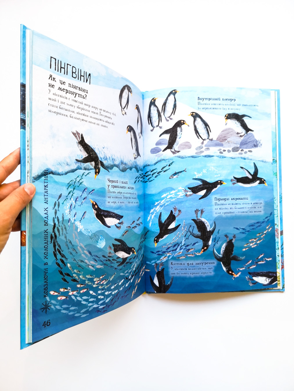 Велика книга морів - Image 6
