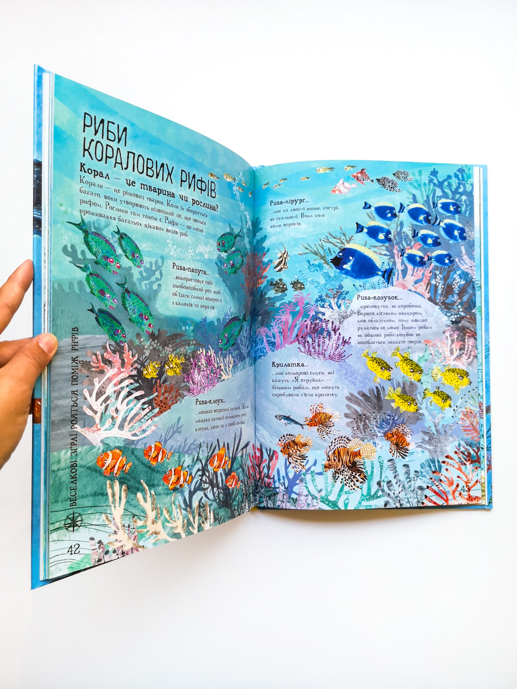 Велика книга морів - Image 5